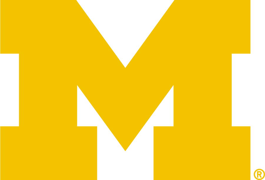 Michigan Wolverines 2016-Pres Primary Logo DIY iron on transfer (heat transfer)